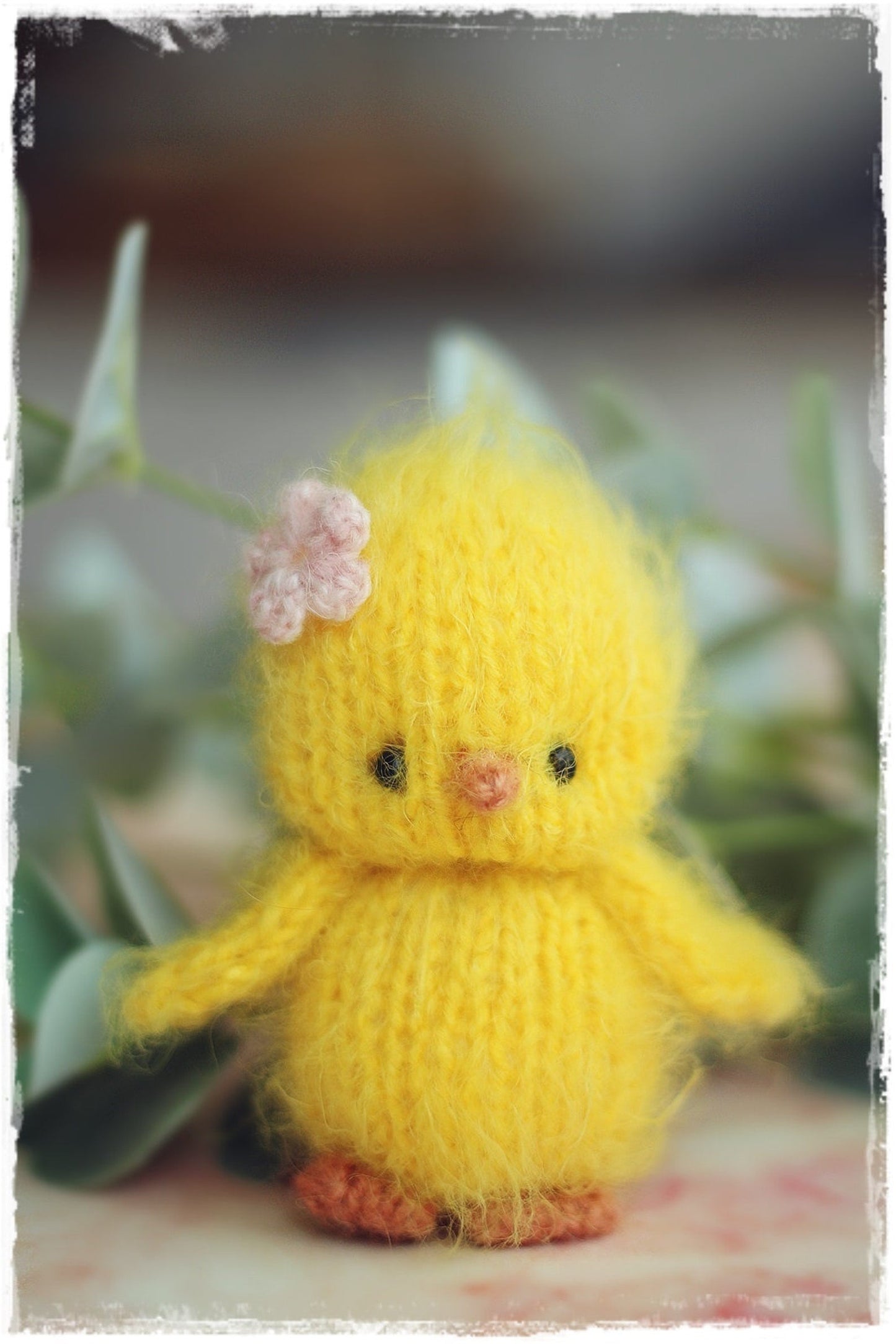 Little Chick Knitting Pattern