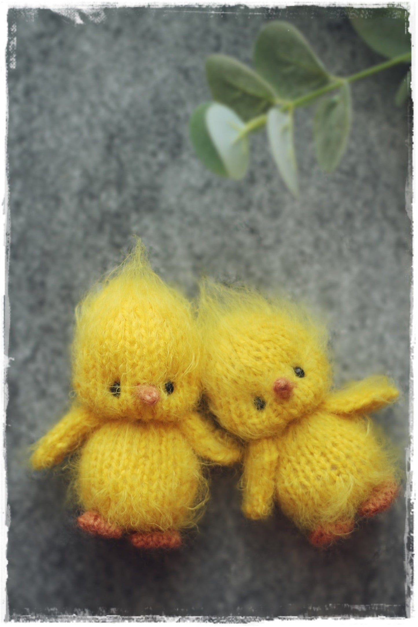 Little Chick Knitting Pattern