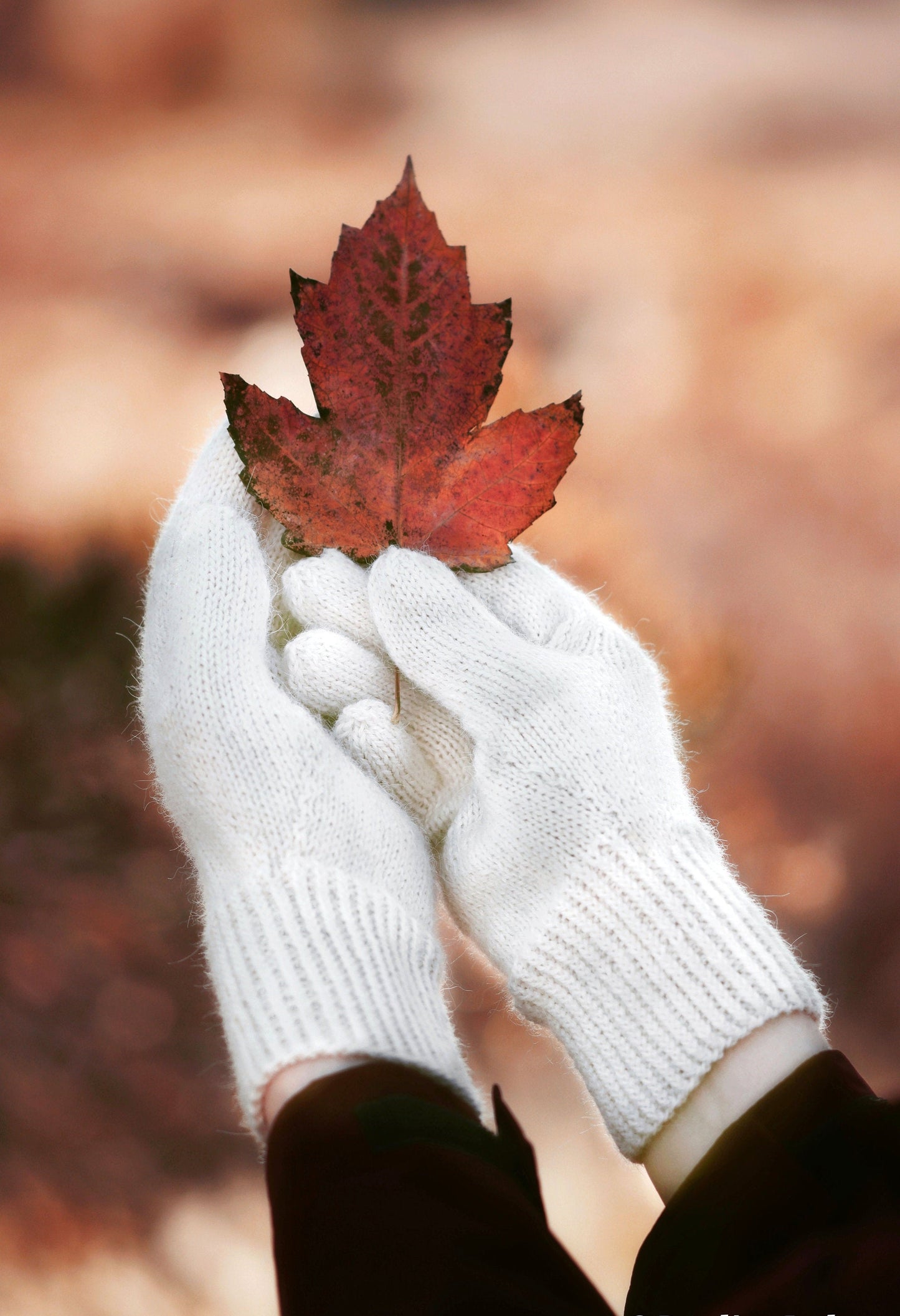 Easy Classic Hand Gloves Knitting Pattern