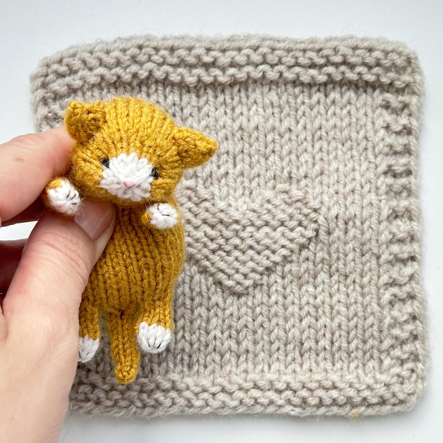 Little Tiny Kitten Knitting Pattern