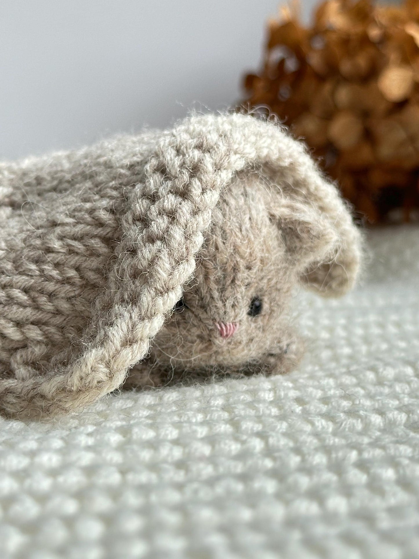 Little Tiny Kitten Knitting Pattern