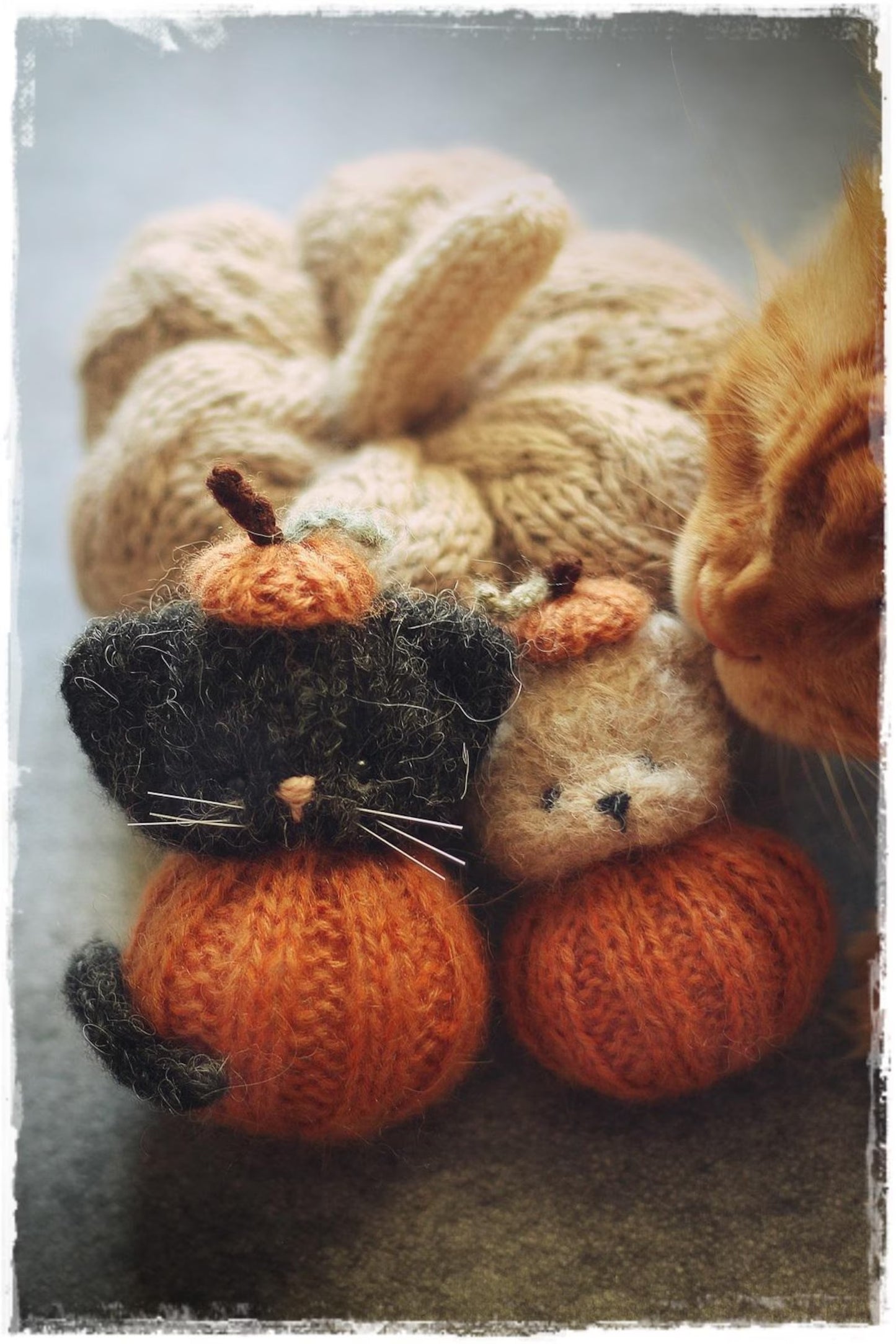 Harvest Woodland Animal Knitting Pattern