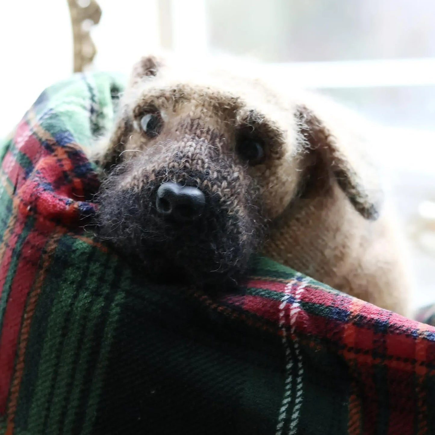 Gentle Guardian Dog Knitting Pattern