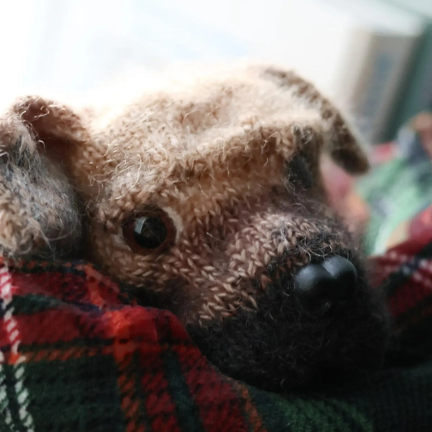 Gentle Guardian Dog Knitting Pattern