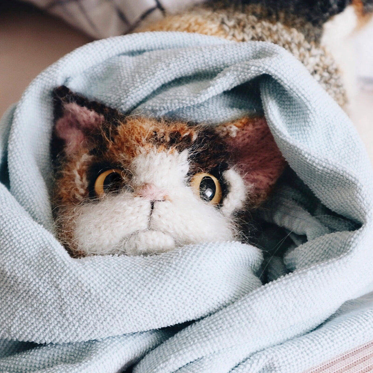 Sweet Calico Kitten Knitting Pattern