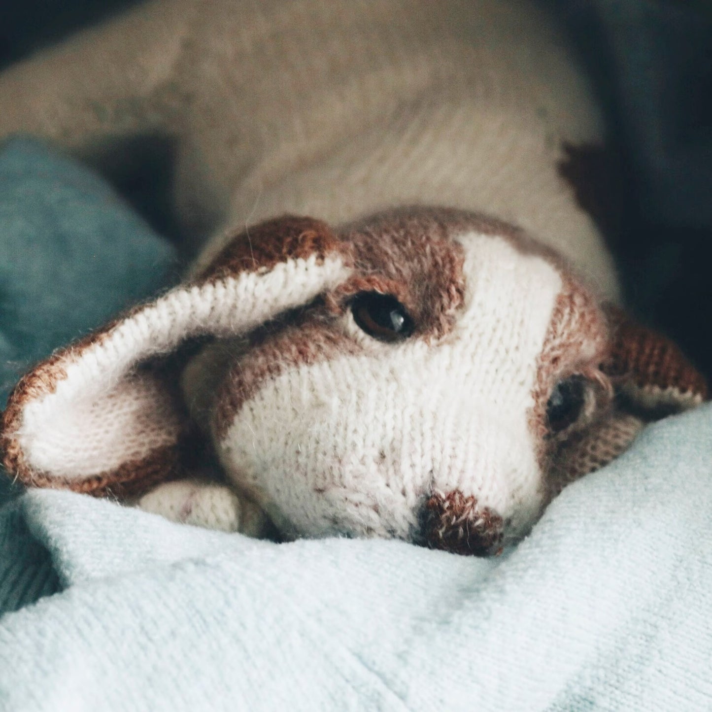 Loyal Hound Amigurumi Knitting Pattern