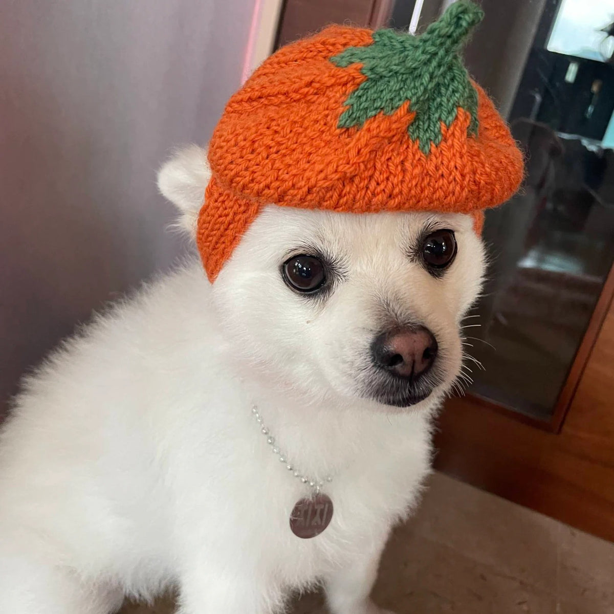 Little Harvest Pup Cap Knitting Pattern