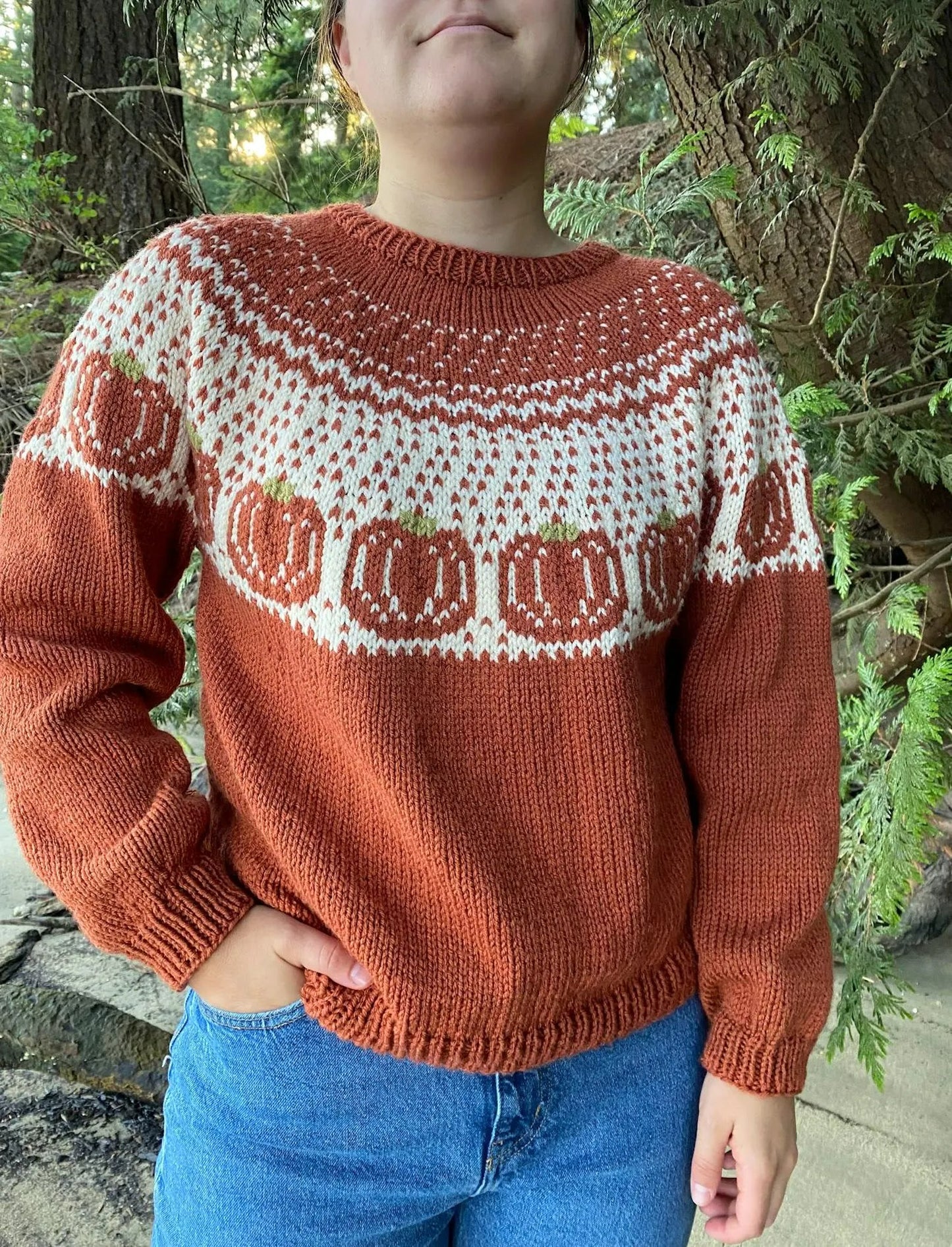 Harvest Comfort Pullover Knitting Pattern