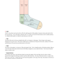 Preview the Pattern PDF — sock anatomy