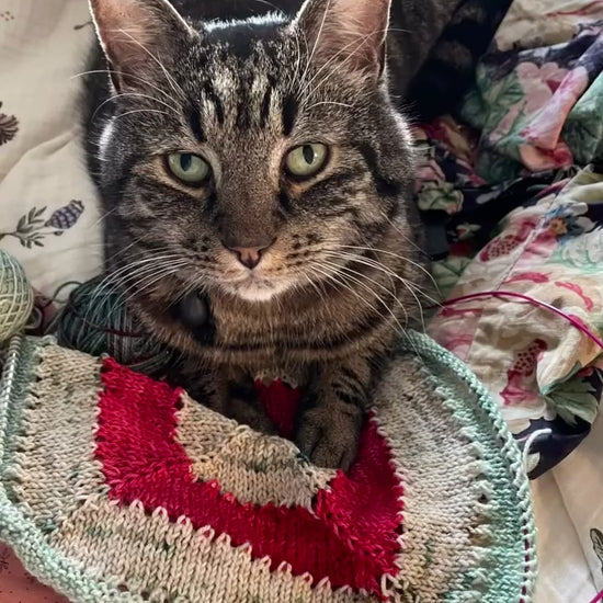 Advent Button Box Blanket knitting pattern — source video