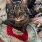 Advent Button Box Blanket knitting pattern — source video