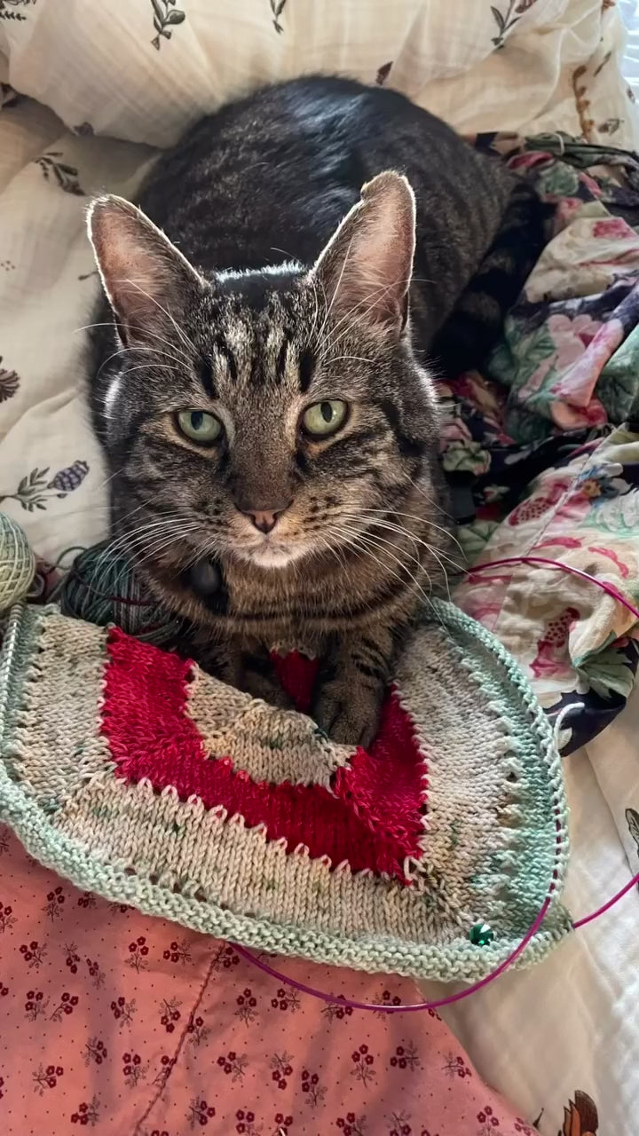 Advent Button Box Blanket knitting pattern — source video